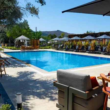 Homestay Selimiye Thales