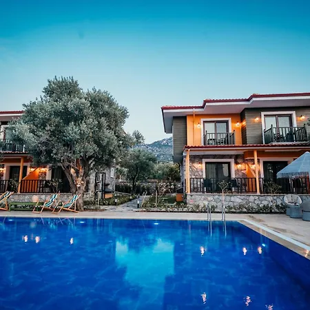Selimiye Thales Selimiye (Aegean)