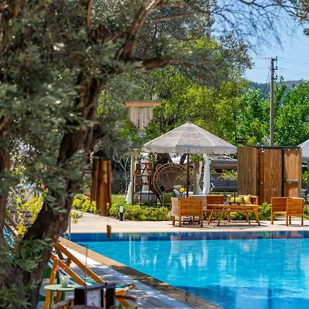 Homestay Selimiye Thales *